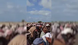 أبناء شبوة يشيّعون جثمان مدير عام رضوم هادي الخرماء
