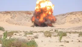 قائد محور الغيضة يشرف على إتلاف 429 لغمًا تالفًا في مديرية حات