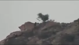 إعلام العمالقة الجنوبية يبث مشاهد لعمليات عسكرية ضد مليشيا الحوثي الإرهابية في جبهة البيضاء