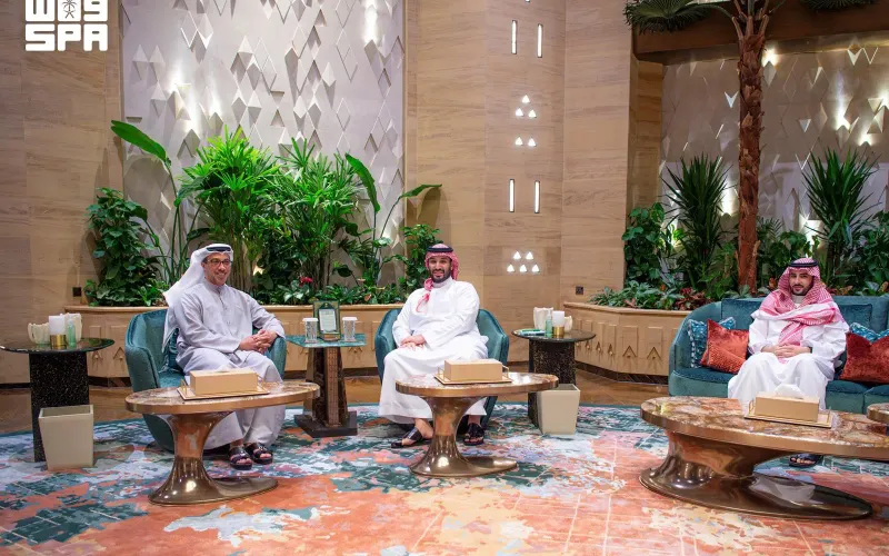 ولي العهد السعودي ونائب رئيس الإمارات يبحثان تطورات الأوضاع في المنطقة